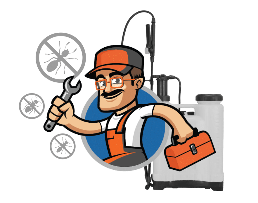 Dedetização - Seu Felix